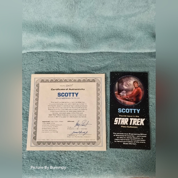 Vintage  Star Trek Hamilton Scotty Engineering Officer Plate In Original Box - Picture 5 of 7